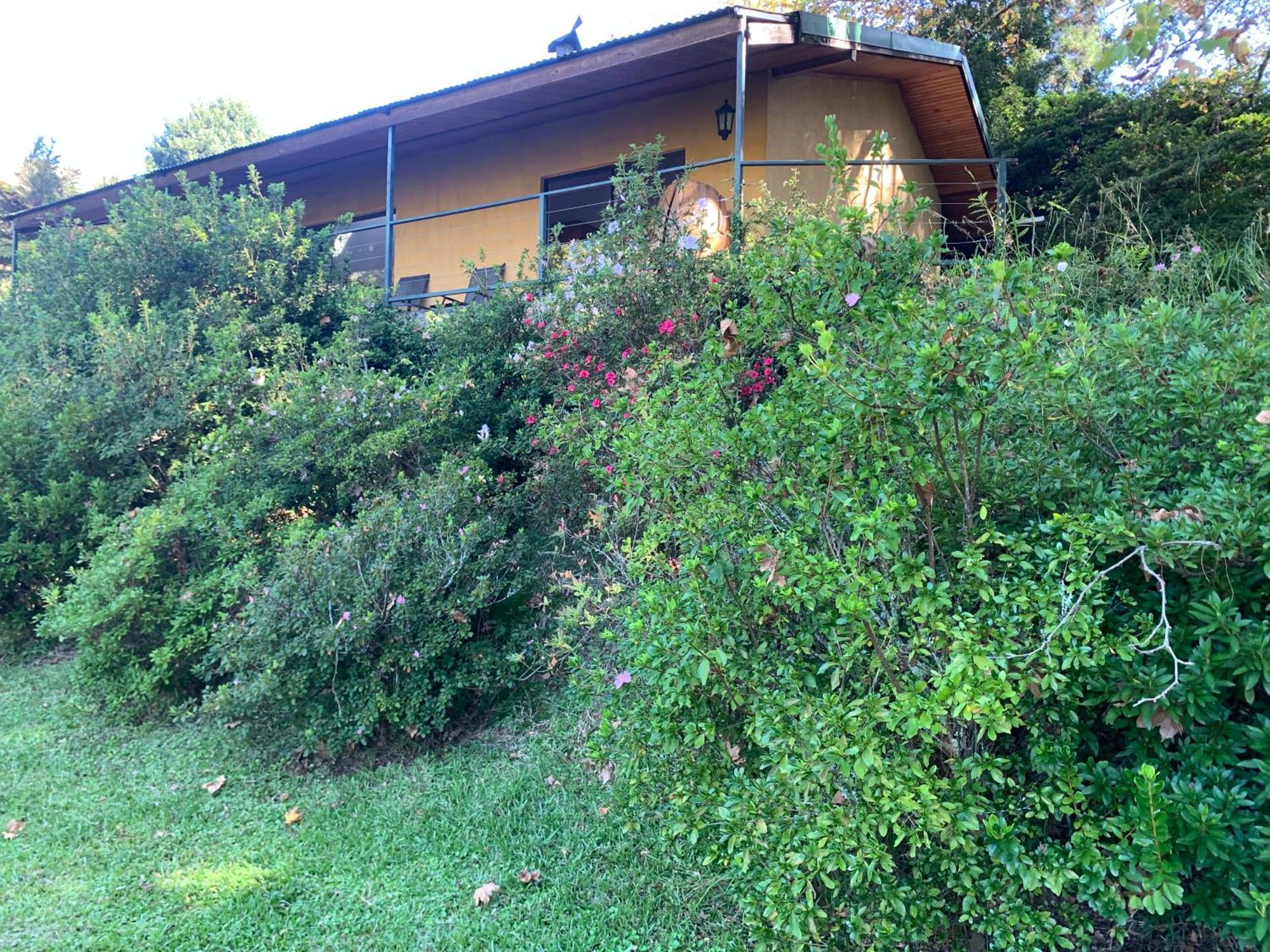 Emafweni Villa Champagne Valley Exterior foto